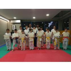 Εξετάσεις judo